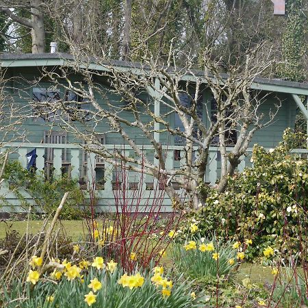 The Lodge On The Marsh Brading Eksteriør billede