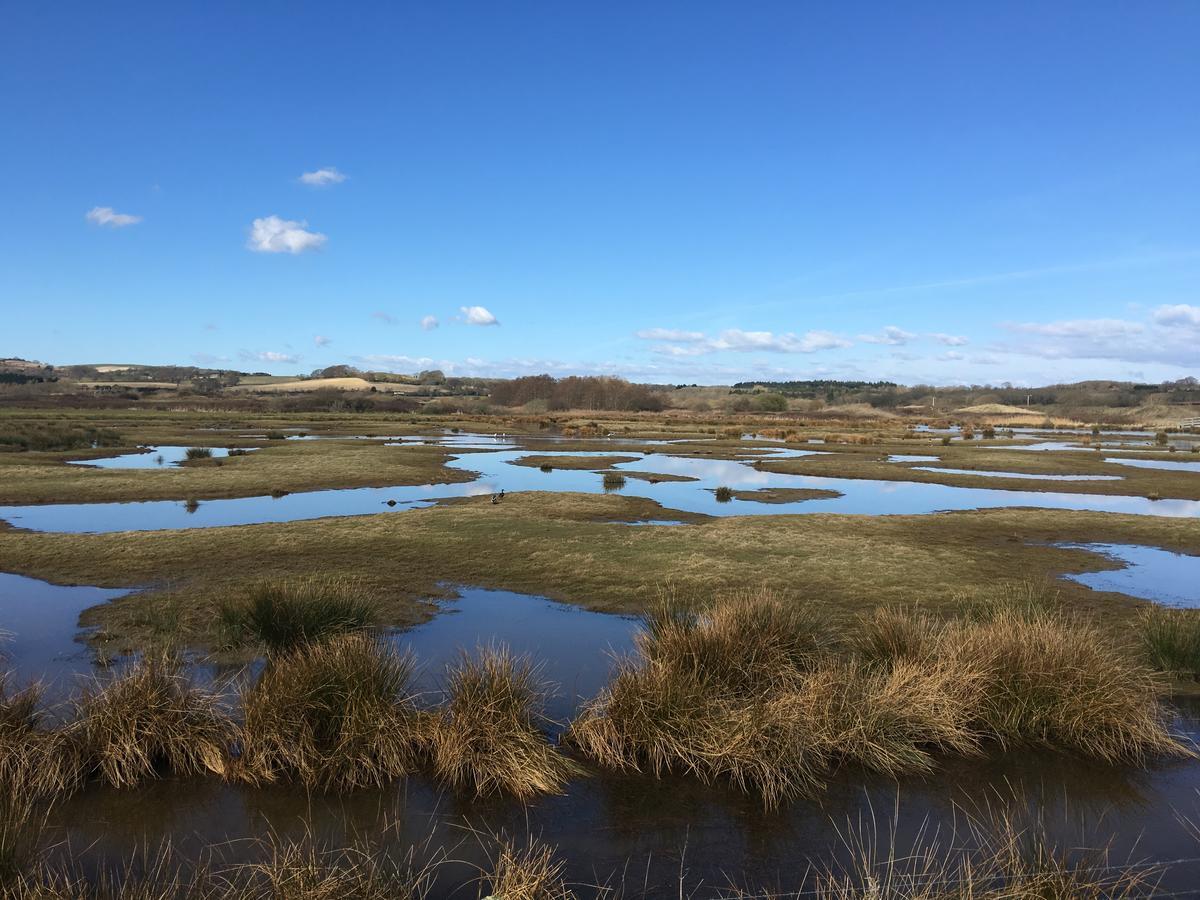 The Lodge On The Marsh Brading Eksteriør billede